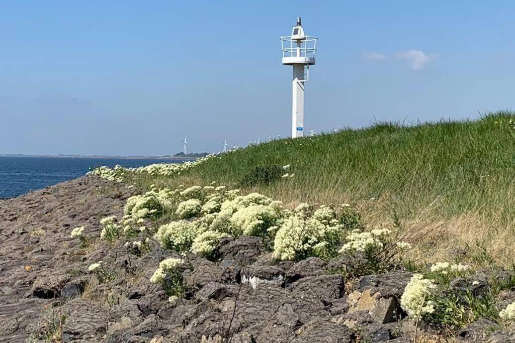 Logeren Op De Thoolse Parel Vakantiehuis Stavenisse Dış mekan fotoğraf