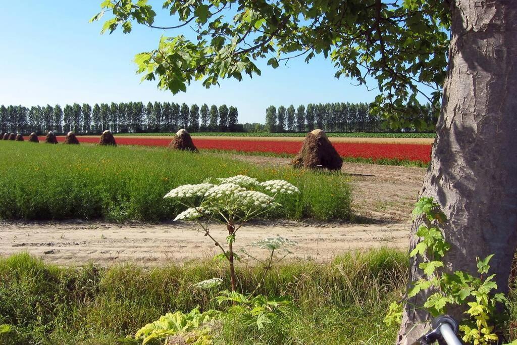 Logeren Op De Thoolse Parel Vakantiehuis Stavenisse Dış mekan fotoğraf